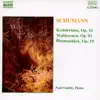 Stream & download Schumann: Kreisleriana, Waldszenen & Blumenstück