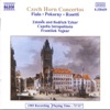 A Brides Guide To Wedding Music - Concerto In E-Flat For Two Horns: Adagio
