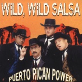 Wild, Wild Salsa artwork