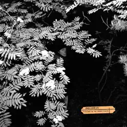 Violence In the Snowy Fields - Dolorean