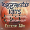 Reggaetones - Mi Gatita y Yo