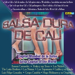 Fruko y Sus Tesos - Mi Río Cali