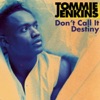 Don't Call It Destiny - Single