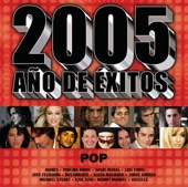 2005 Año de Exitos Pop, 2004