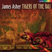Tigers of the Raj artwork