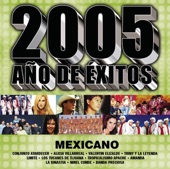 2005 Año de Exitos Mexicano