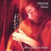 Trevor Hall - Beautiful Lunatic