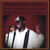 Virunga Roots Volume 1 artwork