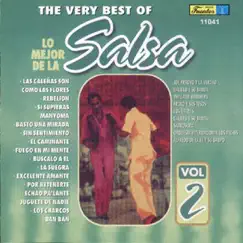 Lo Mejor de la Salsa - The Very Best of Salsa, Vol. 2 by Various Artists album reviews, ratings, credits