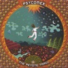 Psycomex - the Peyote Trail, 2004