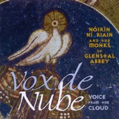 Vox de Nube artwork