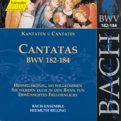Bach: Cantatas, BWV 182-184 by Bach-Collegium Stuttgart, Gächinger Kantorei Stuttgart & Helmuth Rilling album reviews, ratings, credits