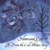 Silverwood Quartet - McKennitt: The Mummer's Dance