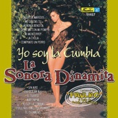 Yo Soy la Cumbia artwork