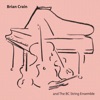 Brian Crain and the BC String Ensemble, 2005