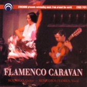 Flamenco Caravan artwork