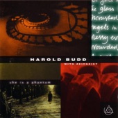Harold Budd - A Lazy Smile...