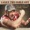 Larry The Cable Guy - Faith Healers And Weight Problems
