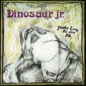Dinosaur Jr. - In a Jar