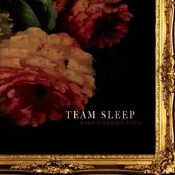 Ever (Foreign Flag) - Single - Team Sleep