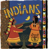 Indians artwork