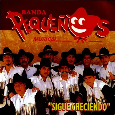 Banda Pequeños Musical - Banda Pequeños Musical