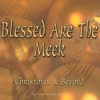 Meek Records - If Nothing Else.... Thank You ( Meditation Mix)