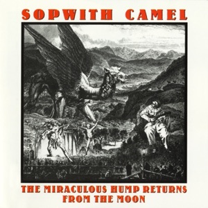 The Miraculous Hump Returns from the Moon