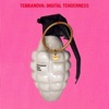 Digital Tenderness