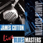 Live Blues Masters: James Cotton artwork