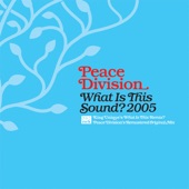 What Is This Sound? 2005 - Single artwork