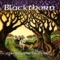 Bonnie Dundee / Blue Bonnets - Blackthorn lyrics