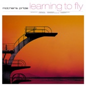 Learning to Fly (DJ Jan & Christophe Chantzis Remix) artwork