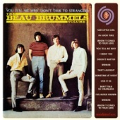 The Beau Brummels - Don't Talk to Strangers