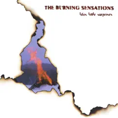 Life's Little Surprises by The Burning Sensations album reviews, ratings, credits