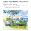 cyberchambermusic - Nachtmusik 2nd Movement