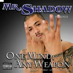 One Mind, Any Weapon by Mr. Shadow album reviews, ratings, credits