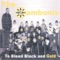 Mind Like a Playgroup - The Zambonis lyrics