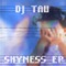 Shyness - DJ Tau lyrics