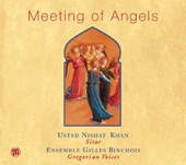 Meeting of Angels artwork