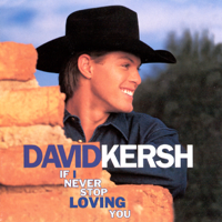 David Kersh - If I Never Stop Loving You artwork