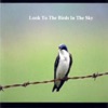 Look to the Birds In the Sky (Digital Version)