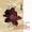 Lei Qiang - Pick Up the Betel/The Purple Bamboo Song