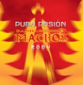 Pura Pasión, 2004