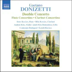 Donizetti: Double Concerto - Flute Concertino - Clarinet Concertino by Camerata Budapest & Laszlo Kovacs album reviews, ratings, credits