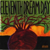 Eleventh Dream Day - Between Here and There