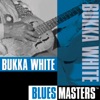Blues Masters: Bukka White