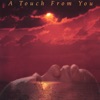 A Touch from You