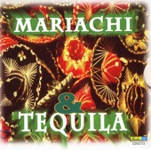 Mariachi y Tequila artwork