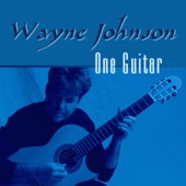 Wayne Johnson - Like the Pieces of Driftwood